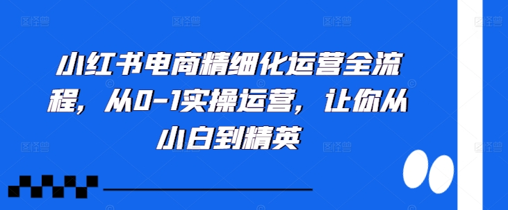 小红书电商精细化运营全流程，从0-1实操运营，让你从小白到精英-灼光资源宝库