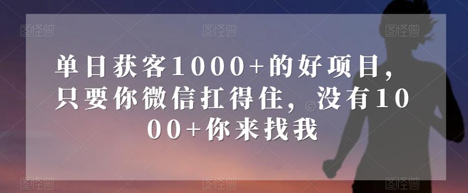 单日获客1000+的好项目，只要你微信扛得住，没有1000+你来找我【揭秘】-灼光资源宝库
