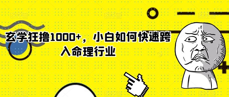玄学狂撸1000+，小白如何快速跨入命理行业-灼光资源宝库