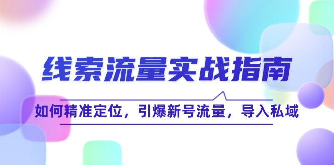 线 索 流 量-实战指南：如何精准定位，引爆新号流量，导入私域-灼光资源宝库
