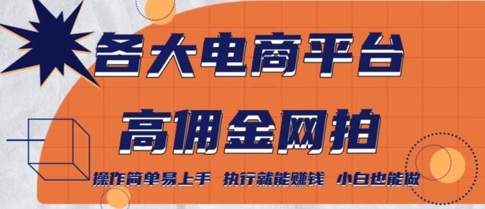 各大电商平台高佣金网拍，操作简单易上手，执行就能赚钱，小白也能做-灼光资源宝库