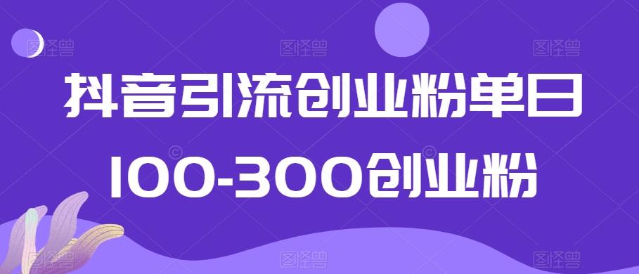 抖音引流创业粉单日100-300创业粉【揭秘】-灼光资源宝库