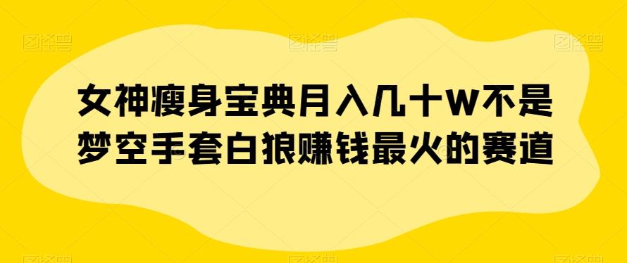 女神瘦身宝典月入几十W不是梦空手套白狼赚钱最火的赛道【揭秘】-灼光资源宝库