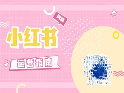 小红书运营指南，没有套路，全是经验-灼光资源宝库