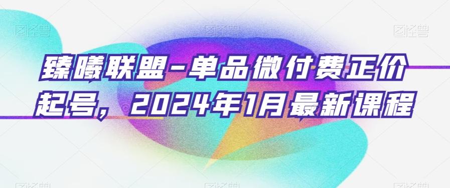 臻曦联盟-单品微付费正价起号，2024年1月最新课程-灼光资源宝库