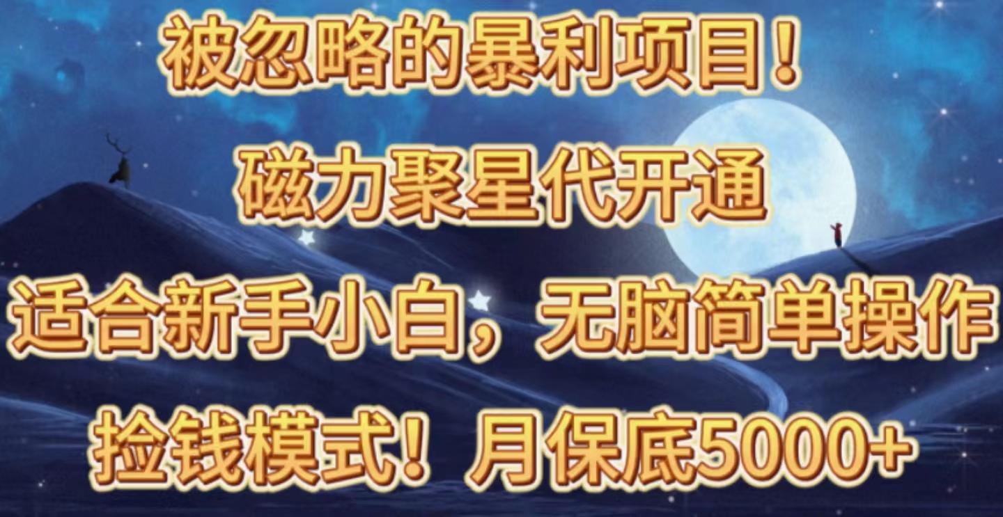 被忽略的暴利项目！磁力聚星代开通捡钱模式，轻松月入五六千-灼光资源宝库