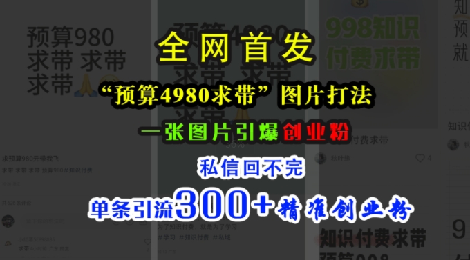 小红书“预算4980带我飞”图片打法，一张图片引爆创业粉，私信回不完，单条引流300+精准创业粉-灼光资源宝库