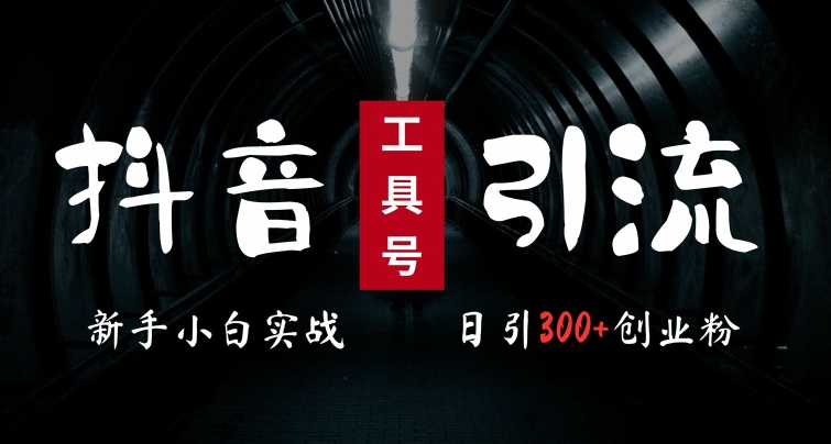 2024最新抖音工具号引流玩法，高效日引300+创业粉，当天变现5k，小白也可成为实战高手-灼光资源宝库