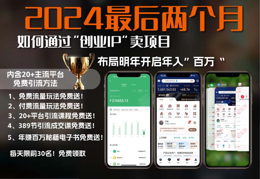 2024最后两个月如何通过”创业IP“卖项目年入”百万“,创业IP+最强引流...-灼光资源宝库