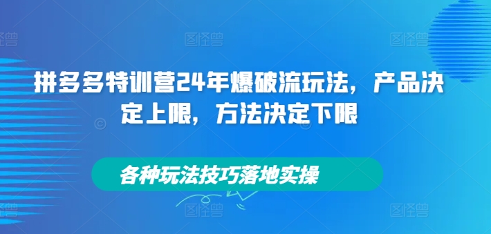 拼多多特训营24年爆破流玩法，产品决定上限，方法决定下限，各种玩法技巧落地实操-灼光资源宝库