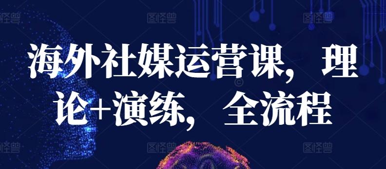 海外社媒运营课，理论+演练，全流程-灼光资源宝库