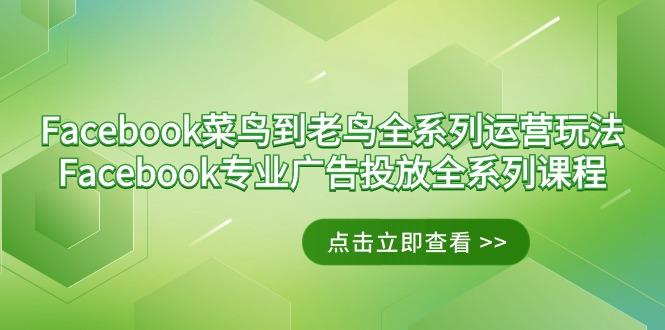 Facebook-菜鸟到老鸟全系列运营玩法+Facebook-专业广告投放全系列课程-灼光资源宝库