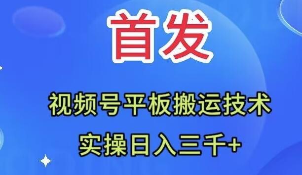 全网首发：视频号平板搬运技术，实操日入三千＋-灼光资源宝库