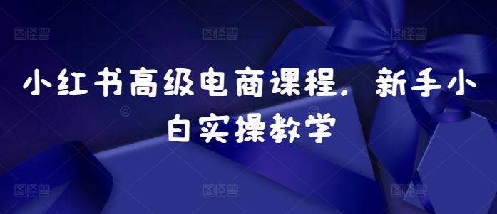 小红书高级电商课程，新手小白实操教学-灼光资源宝库