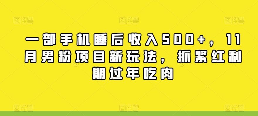 一部手机睡后收入500+，11月男粉项目新玩法，抓紧红利期过年吃肉-灼光资源宝库