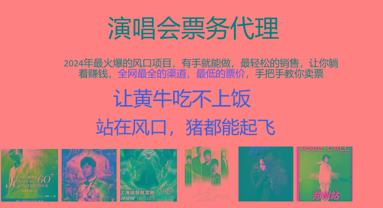 2024年最火爆风口项目，演唱会票务代理，日入2000+，一部手机就能搞定！-灼光资源宝库