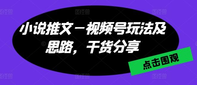 小说推文—视频号玩法及思路，干货分享-灼光资源宝库