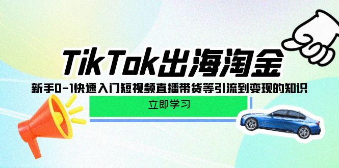 (10035期)TikTok-出海淘金，新手0-1快速入门短视频直播带货等引流到变现的知识-灼光资源宝库