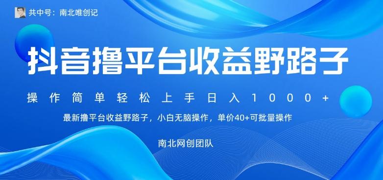 最新撸抖音平台收益野路子，操作简单，单价高，小白可无脑操作可日入1000+-灼光资源宝库