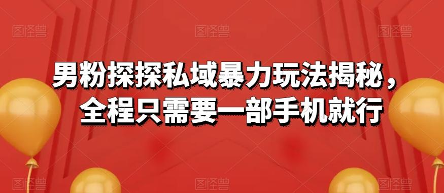 男粉探探私域暴力玩法揭秘，全程只需要一部手机就行-灼光资源宝库