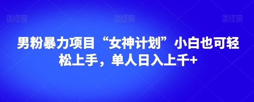 男粉暴力项目“女神计划”小白也可轻松上手，单人日入上千+【揭秘】-灼光资源宝库