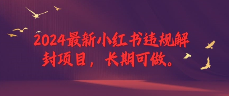 2024最新小红书违规解封项目，长期可做，一个可以做到退休的项目【揭秘】-灼光资源宝库