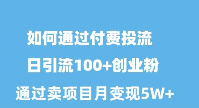 如何通过付费投流日引流100+创业粉月变现5W+-灼光资源宝库