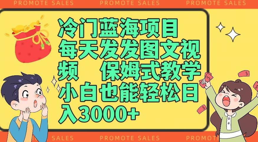 冷门蓝海项目，每天发发图文视频，保姆式教学，小白也能轻松日入3000+-灼光资源宝库