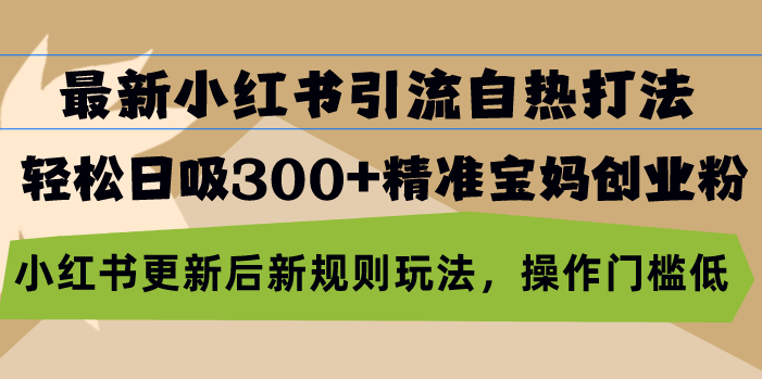 最新小红书引流自热打法，轻松日吸300+精准宝妈创业粉，小红书更新后新...-灼光资源宝库