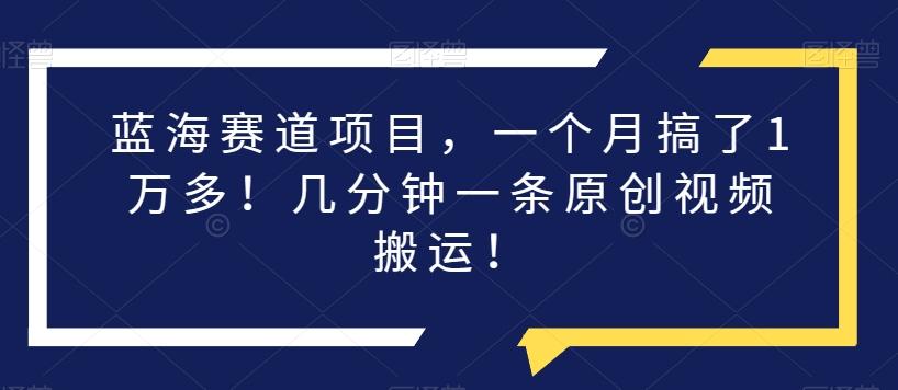 蓝海赛道项目，一个月搞了1万多！几分钟一条原创视频搬运！-灼光资源宝库