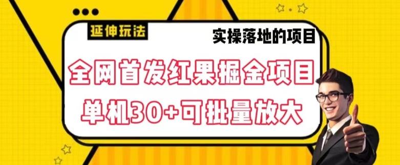 全网首发红果免费短剧掘金项目，单机30+可批量放大【揭秘】-灼光资源宝库