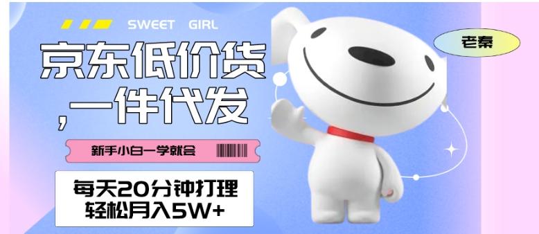每天20分钟打理京东低价货，一件代发-轻松月入5W＋-灼光资源宝库