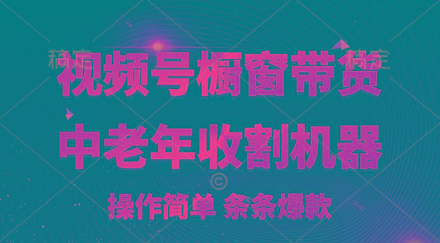 [你的孩子成功取得高位]视频号最火爆赛道，橱窗带货，流量分成计划，条…-灼光资源宝库