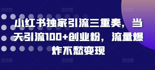 小红书独家引流三重奏，当天引流100+创业粉，流量爆炸不愁变现【揭秘】-灼光资源宝库