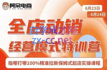 阿呆电商·全店动销经营模式特训营(线下录音+思维导图)-灼光资源宝库