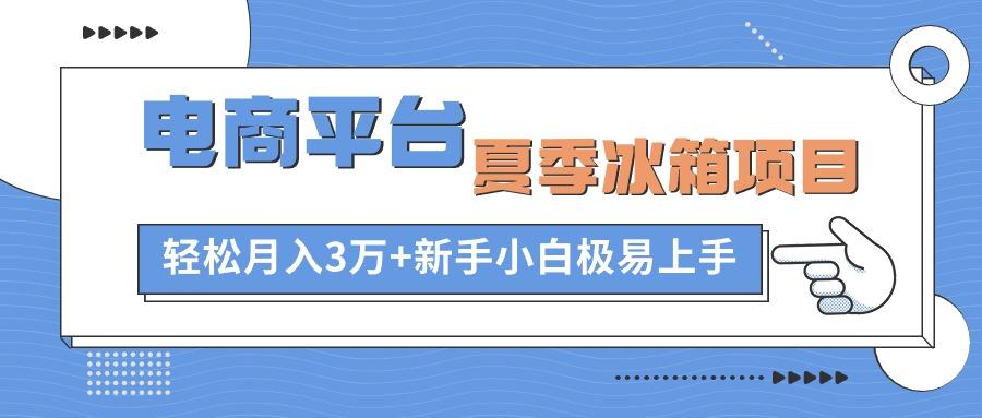 电商平台夏季冰箱项目，轻松月入3万+，新手小白极易上手-蘑菇资源宝库