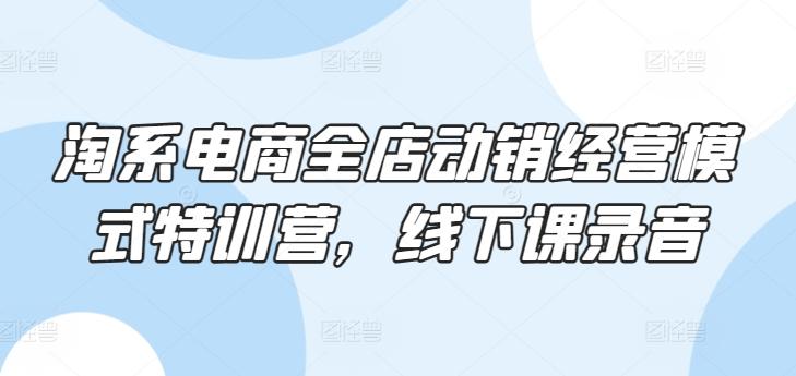 淘系电商全店动销经营模式特训营，线下课录音-灼光资源宝库