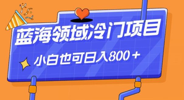 蓝海领域冷门赛道，一单39.9，日入800＋-灼光资源宝库