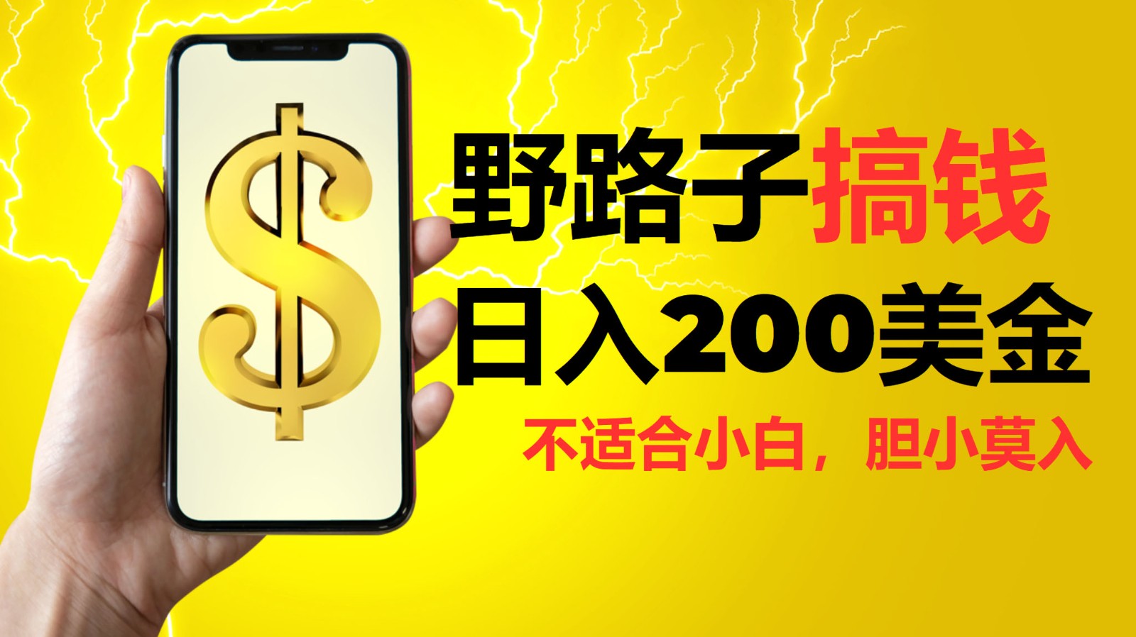挂机野路子搞钱，日入200美金，路子很野，小白莫入-灼光资源宝库