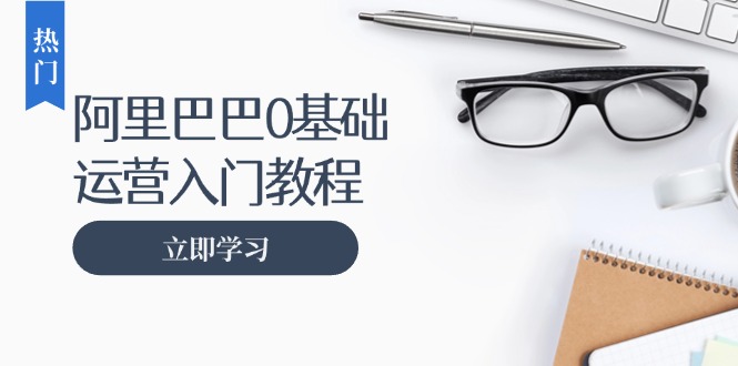 阿里巴巴运营零基础入门教程：涵盖开店、运营、推广，快速成为电商高手-灼光资源宝库