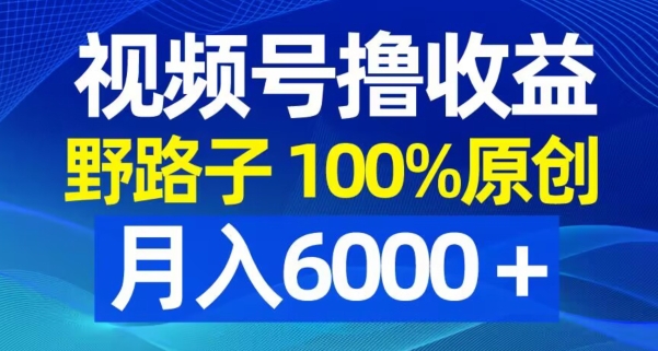 视频号野路子撸收益，100%原创，条条爆款，月入6000＋【揭秘】-灼光资源宝库