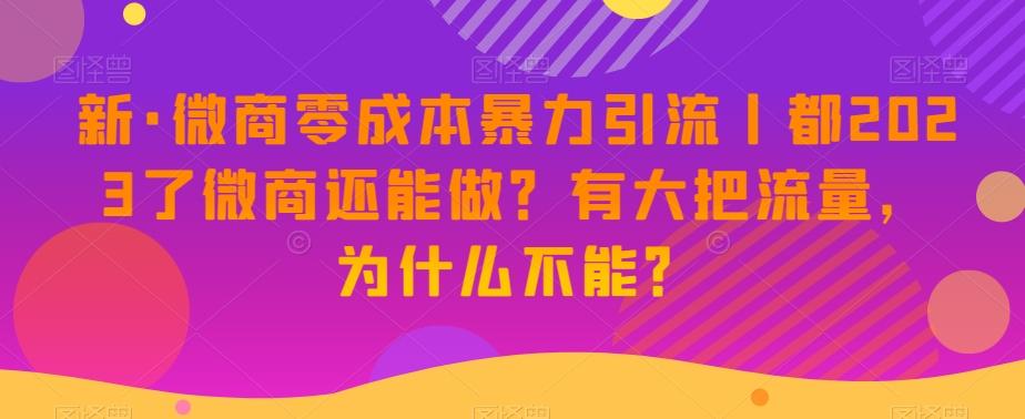新·微商零成本暴力引流丨都2023了微商还能做？有大把流量，为什么不能？-灼光资源宝库