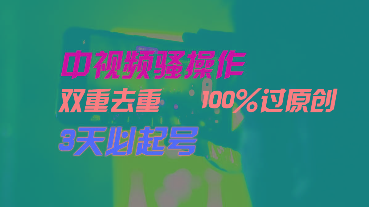 中视频骚操作，双重去重100%过原创，3天比必起号，简单无脑，月入3W+-灼光资源宝库