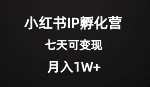 价值2000+的小红书IP孵化营项目，超级大蓝海，七天即可开始变现，稳定月入1W+-灼光资源宝库