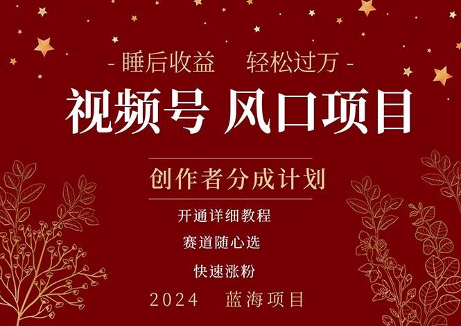 拥有睡眠收益的微信视频号大风口项目，轻松月入过万+，多赛道选择，可...-灼光资源宝库