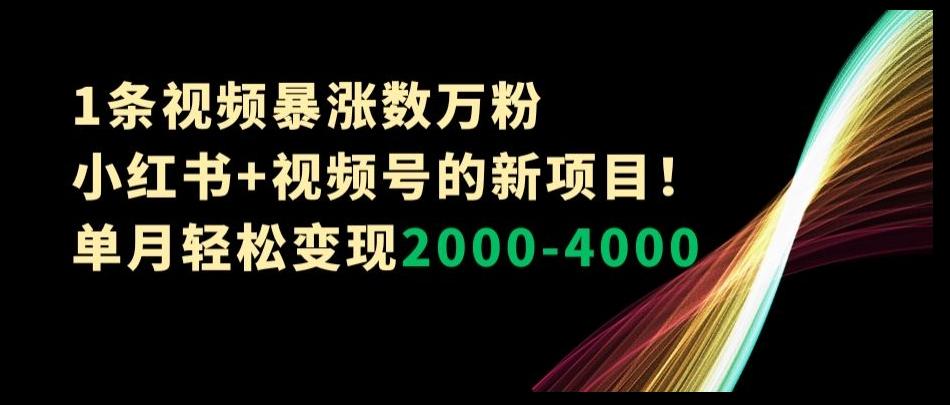 1条视频暴涨数万粉–小红书+视频号的新项目！单月轻松变现2000-4000【揭秘】-灼光资源宝库