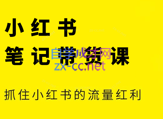张宾·小红书笔记带货课(更新9月)-灼光资源宝库