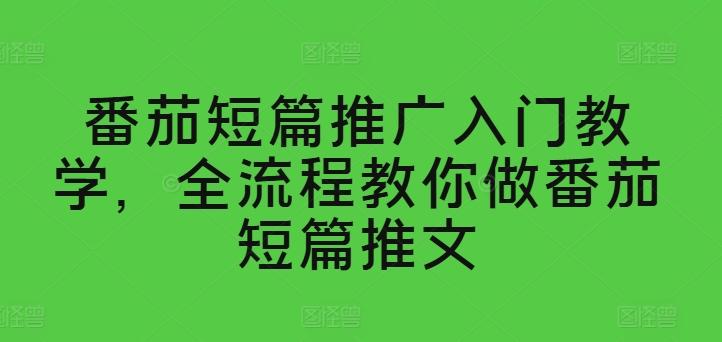 番茄短篇推广入门教学，全流程教你做番茄短篇推文-灼光资源宝库