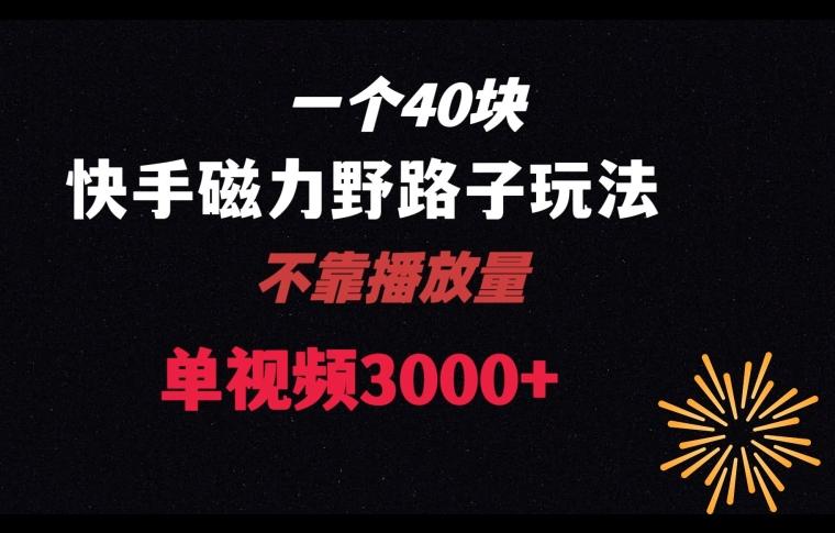 一个40块，快手联合美团磁力新玩法，无视机制野路子玩法，单视频收益4位数【揭秘】-灼光资源宝库