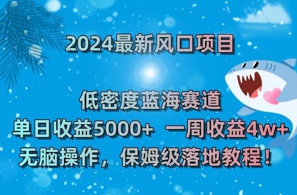 2024最新风口项目，低密度蓝海赛道，单日收益5000+，一周收益4w+！【揭秘】-灼光资源宝库
